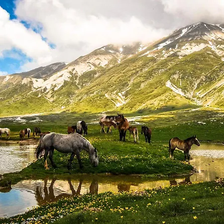 아파트 L'aurora Locazione Turistica 술모나