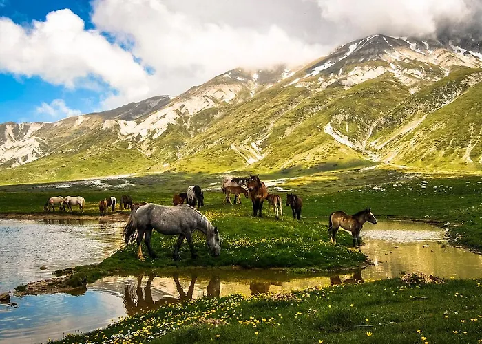 Appartement L'aurora Locazione Turistica Sulmona